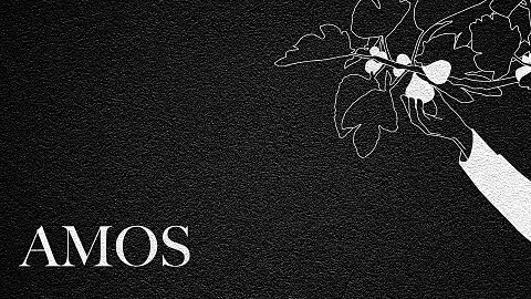 The Journey Through Amos