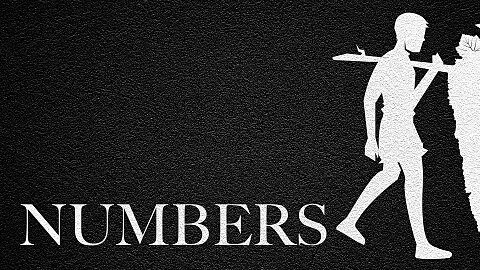 The Journey Through Numbers