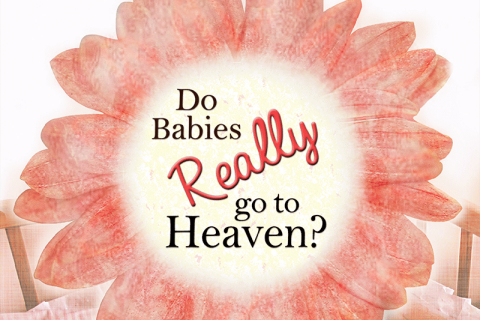 Do Babies Really Go To Heaven? (ebook)