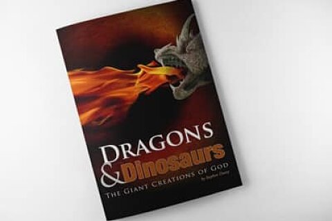 Dragons & Dinosaurs (Booklet)