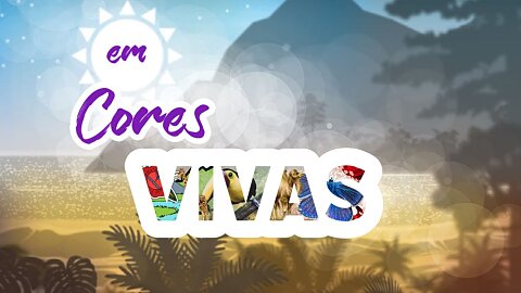 O Currículo da Criação