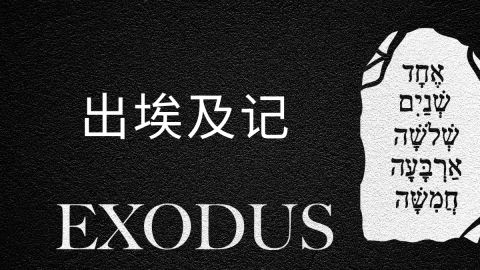 出埃及记 (Mandarin Exodus)