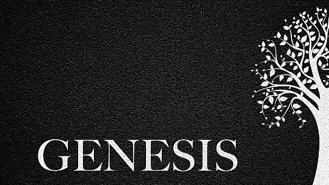 The Journey Through Genesis