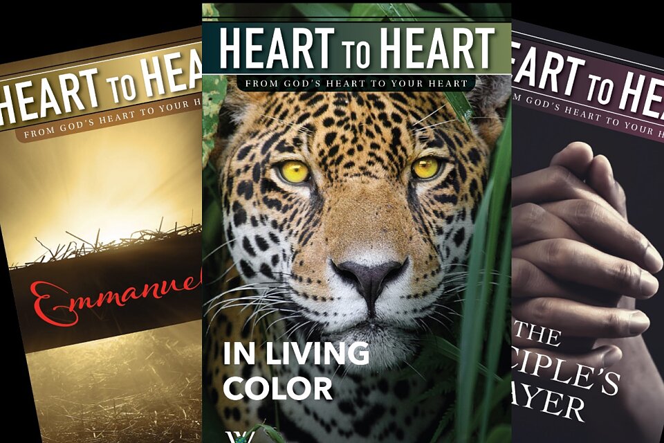 heart to heart darker