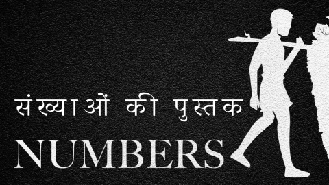 गिनती की पुस्तक (Hindi Numbers)