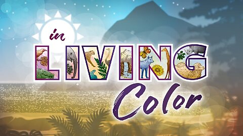 Series: In Living Color