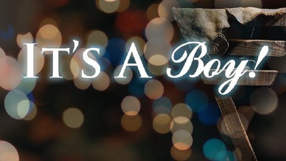 The Reveal (It's A Boy Lesson 1)