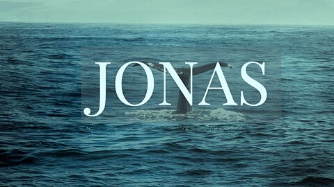 Muito Mais do que Um Simples Peixe