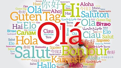 Language support at wisdomonline.org