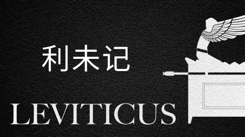 利未记 (Mandarin Leviticus)