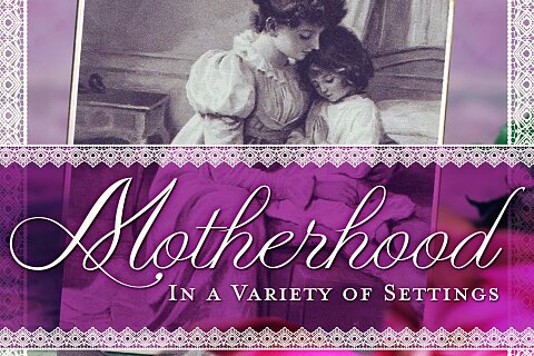 Motherhood in a Variety of Settings Booklet
