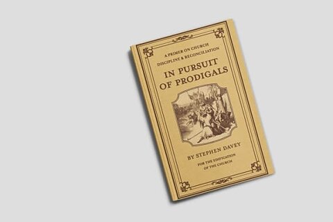 In Pursuit of Prodigals (Paperback)