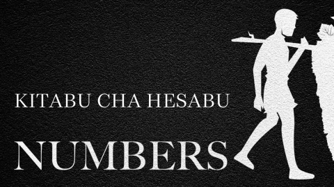 Kitabu cha Hesabu  (Swahili Numbers)