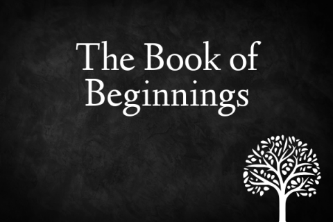 1 - The Journey Begins