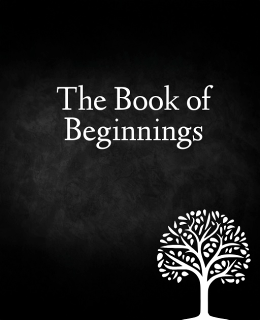 the book of beginnings series 1