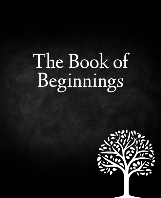 the book of beginnings series