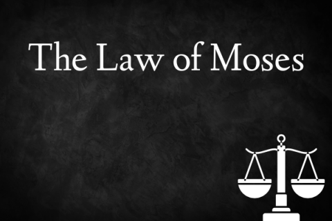 35 - From Pasture to Brickyard