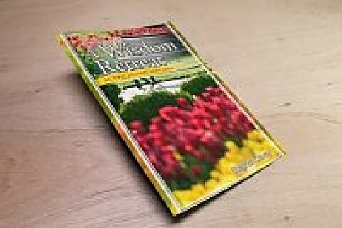 A 31-Day Spring Wisdom Retreat