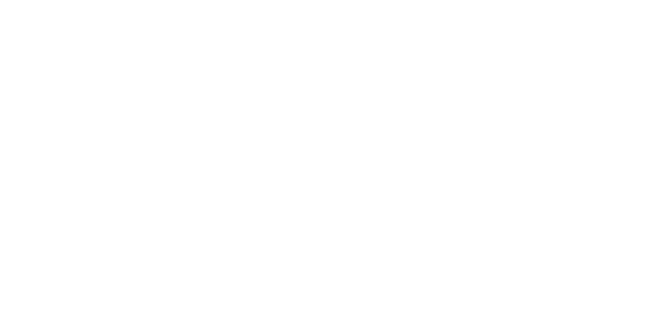 Wisdom Journey